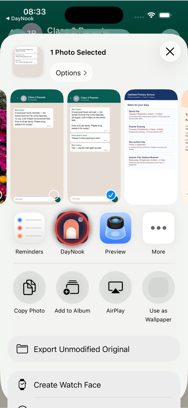 The iOS share sheet with DayNook highlighted